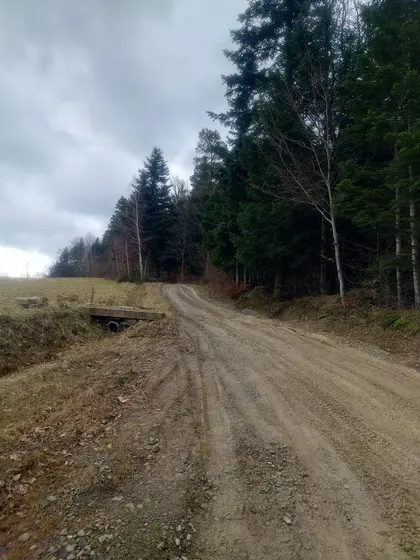 Kronika jednostki 2024 — cały rok — zdjęcie 999