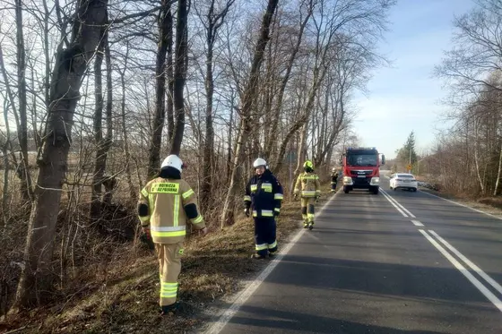 Wypadek lub kolizja — 1 stycznia 2025 — zdjęcie 7