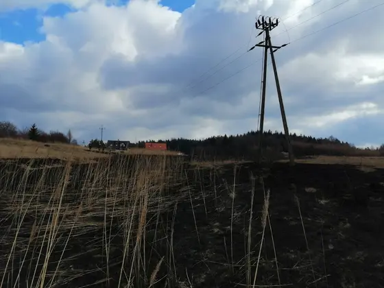 Z życia jednostki — 8 marca 2022 — zdjęcie 6