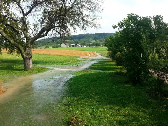 Zagrożenie powodziowe – 11.08.2014 — zdjęcie 14