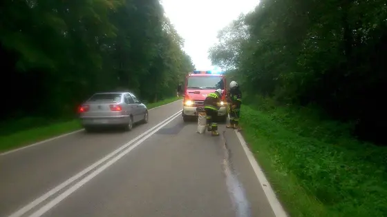 Zdarzenie w Bednarce — 03.09.2014