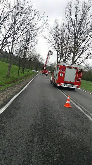 Zwisający Konar – 14.04.2017 — zdjęcie 2